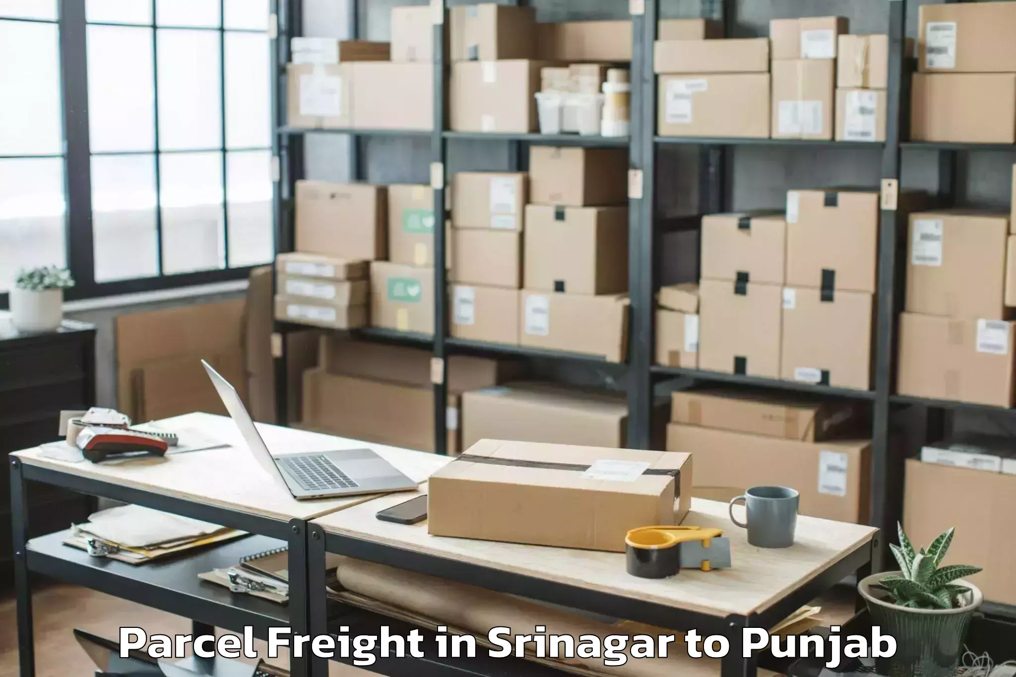 Efficient Srinagar to Batala Parcel Freight